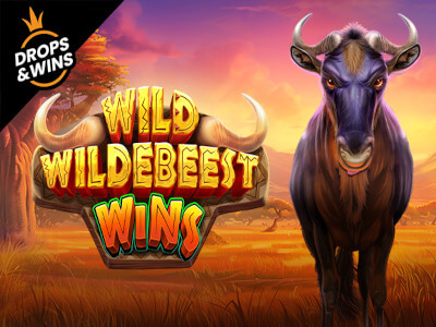 Free bet